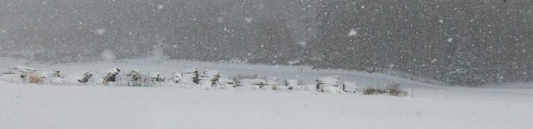 RADAR DE NIEVE visual data 3